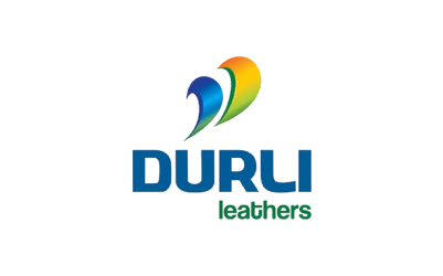 Logo Durli